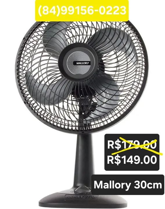 Ventilador de Mesa Mallory 30cm - Novo