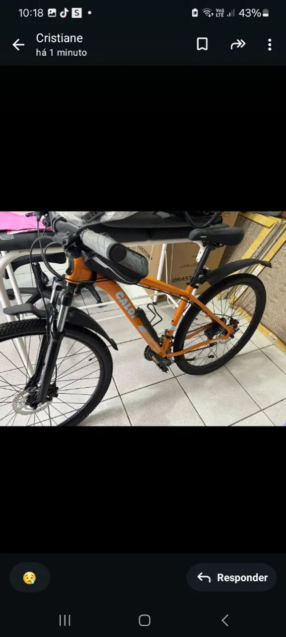 Bicicleta Caloi Aro 29
