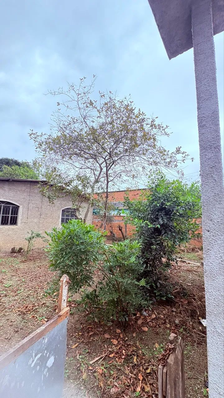 VENDA DE TERRENO/CASA - Foto 5