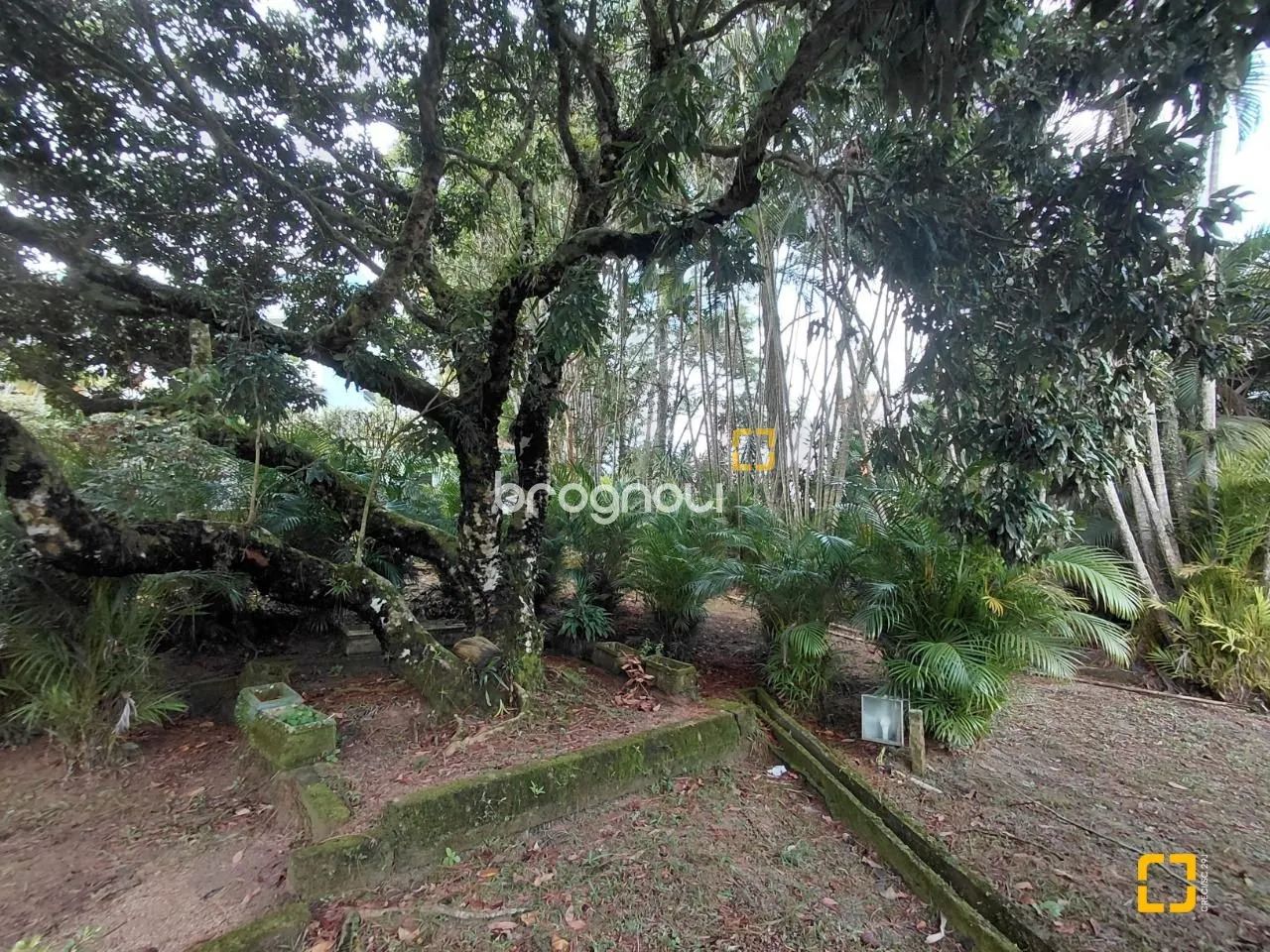 Terreno à venda, Saco Grande, com viabilidade para edificio, Florianópolis, SC - Foto 3