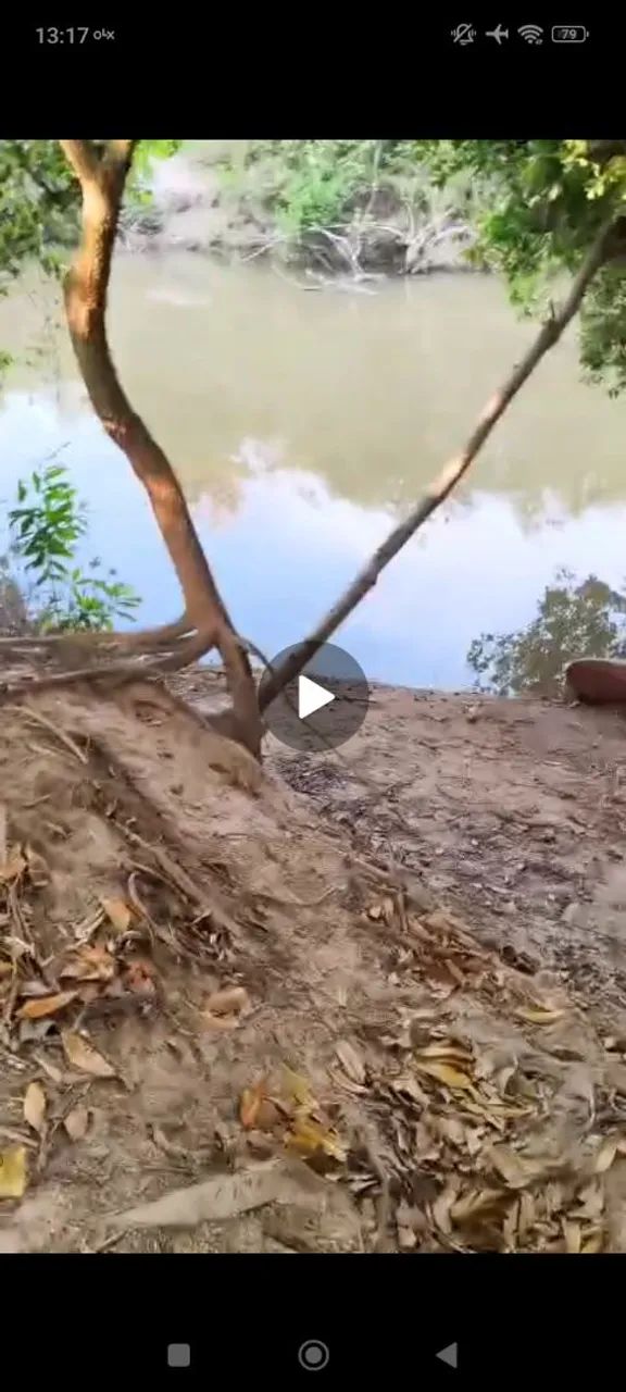 FAZENDA A VENDA EM DIVINÓPOLIS TOCANTINS - Foto 3