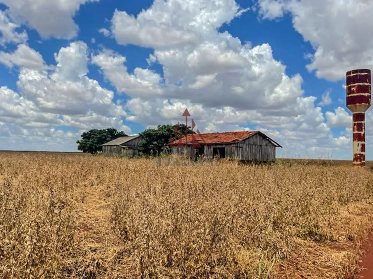 FAZENDA - DOURADOS - MS - Foto 3