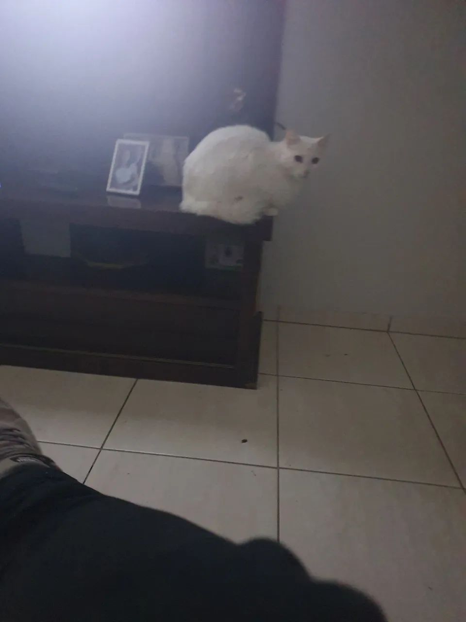 Mesa 6 lugares com cadeiras