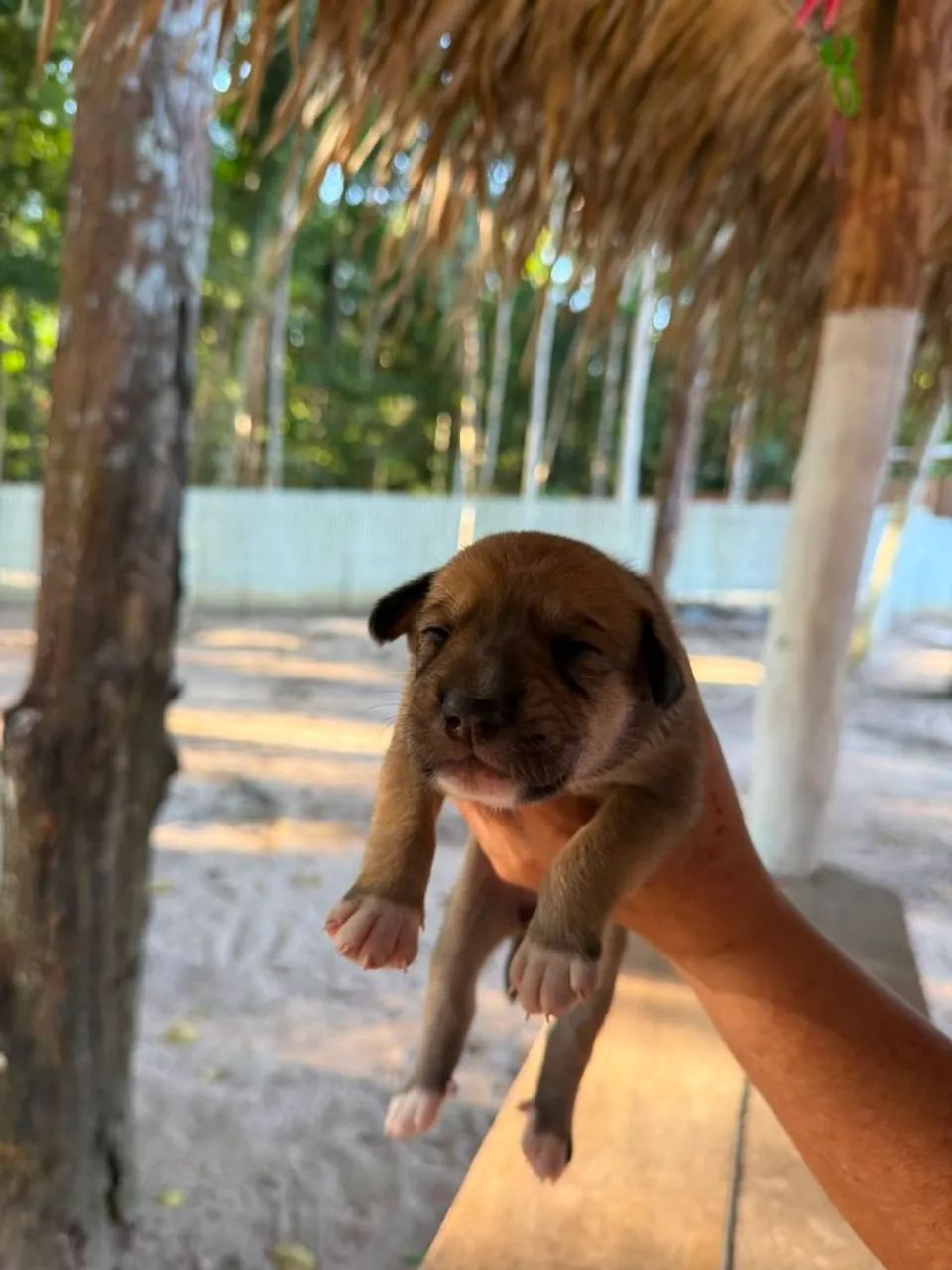 DOAÇÃO RESPONSÁVEL  - Foto 3