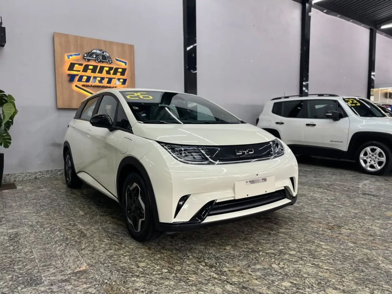 BYD Dolphin EV (Elétrico) 2026 - Foto 3