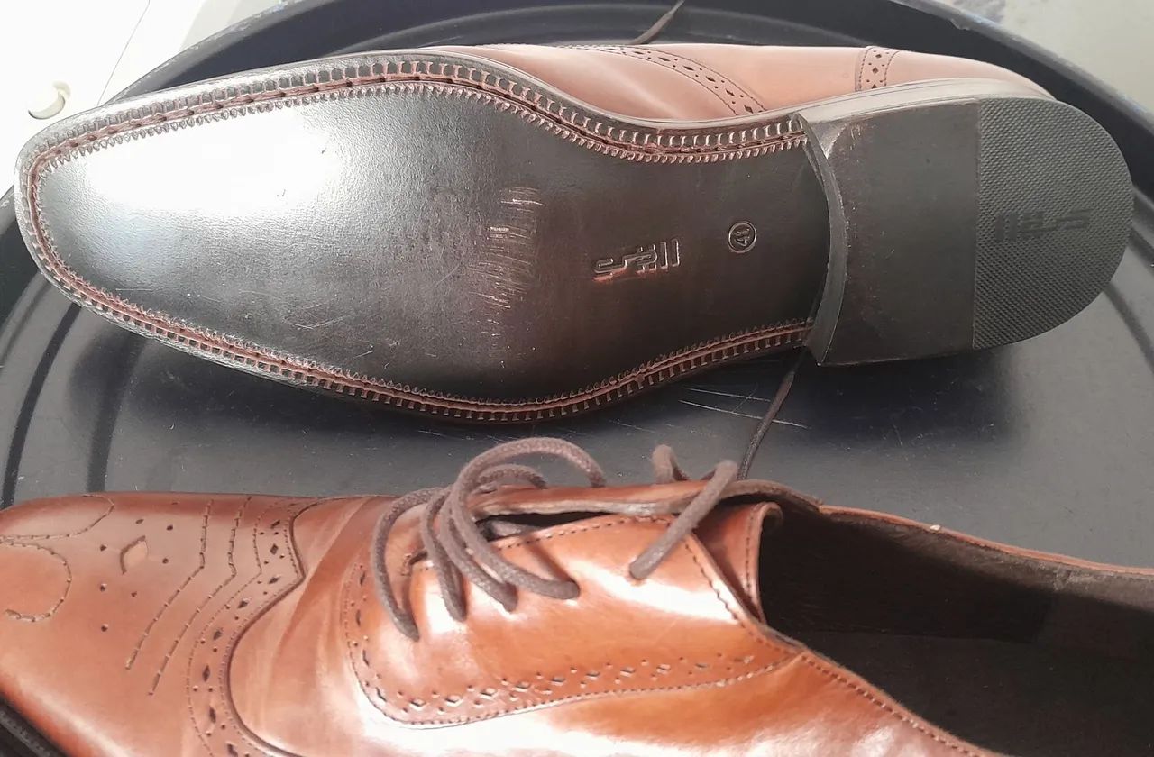 Sapato Sérgio's Longwing Brogue: - Foto 4