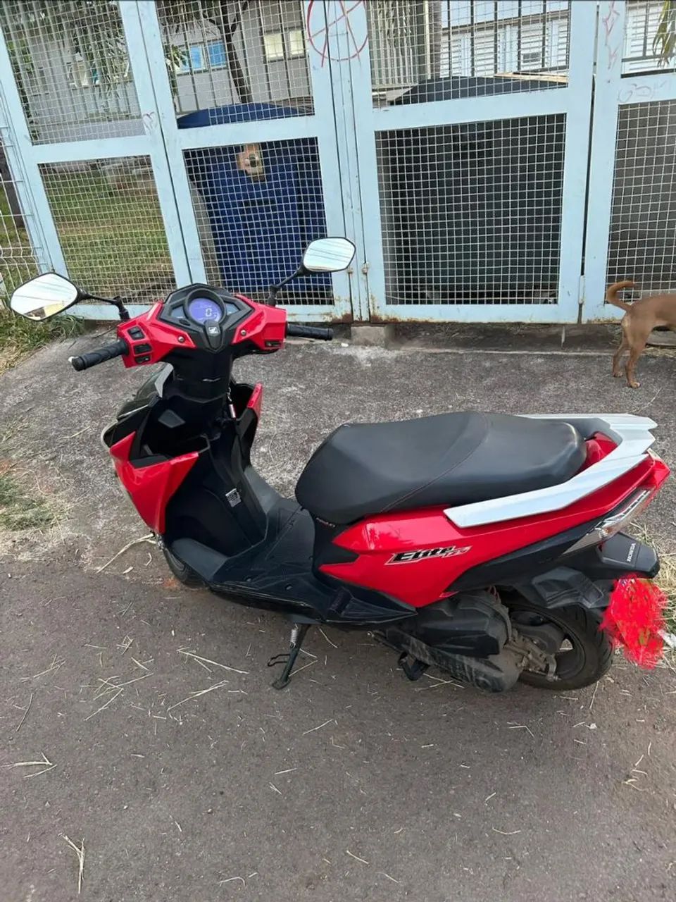 Elite  - Foto 3