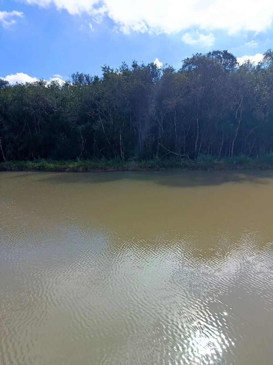 Chacrinha, terreno  - Foto 3
