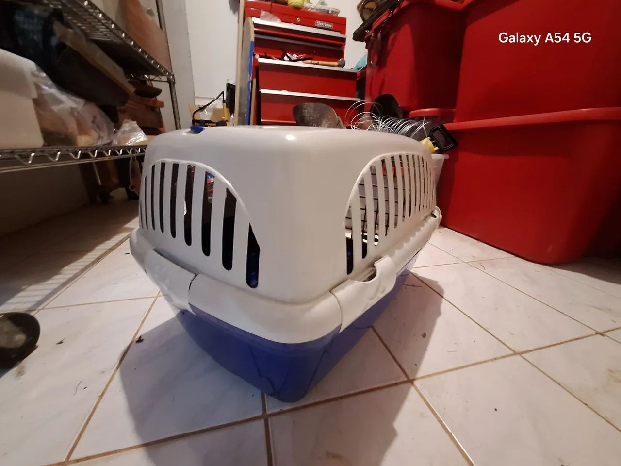 Caixa de transporte para pet n2 - Foto 2