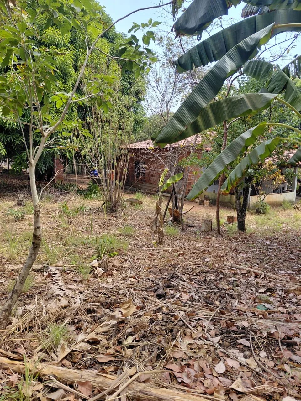  CHÁCARA À VENDA - TAQUARUÇU GRANDE | PALMAS-TO  - Foto 2