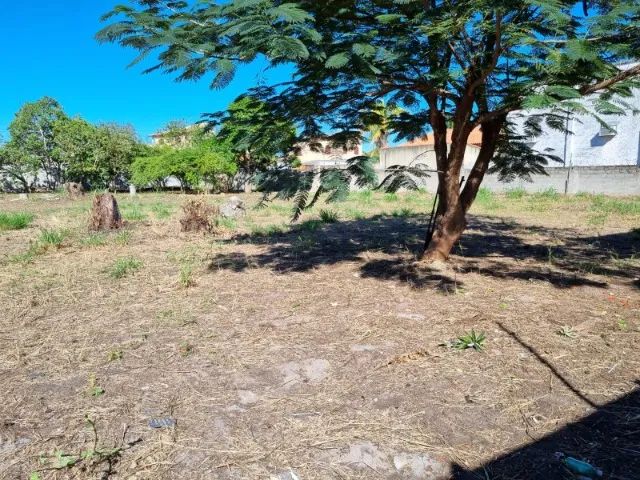 terreno plano de 3.000m2 - Foto 3
