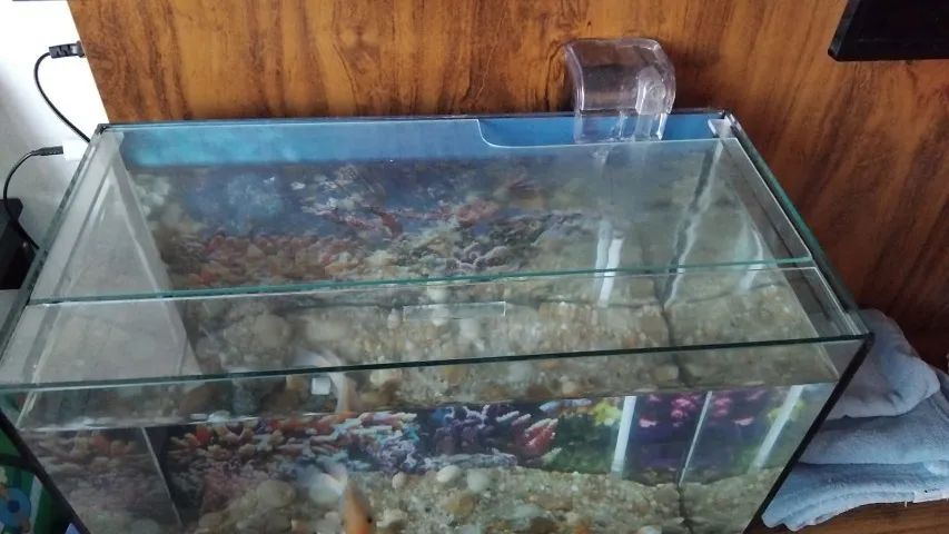 Aquário 50 litros - Foto 2
