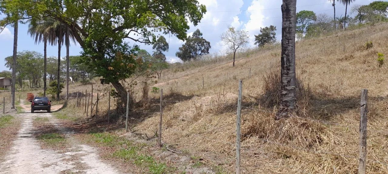 Foto - Belo Horizonte - Jaqueline