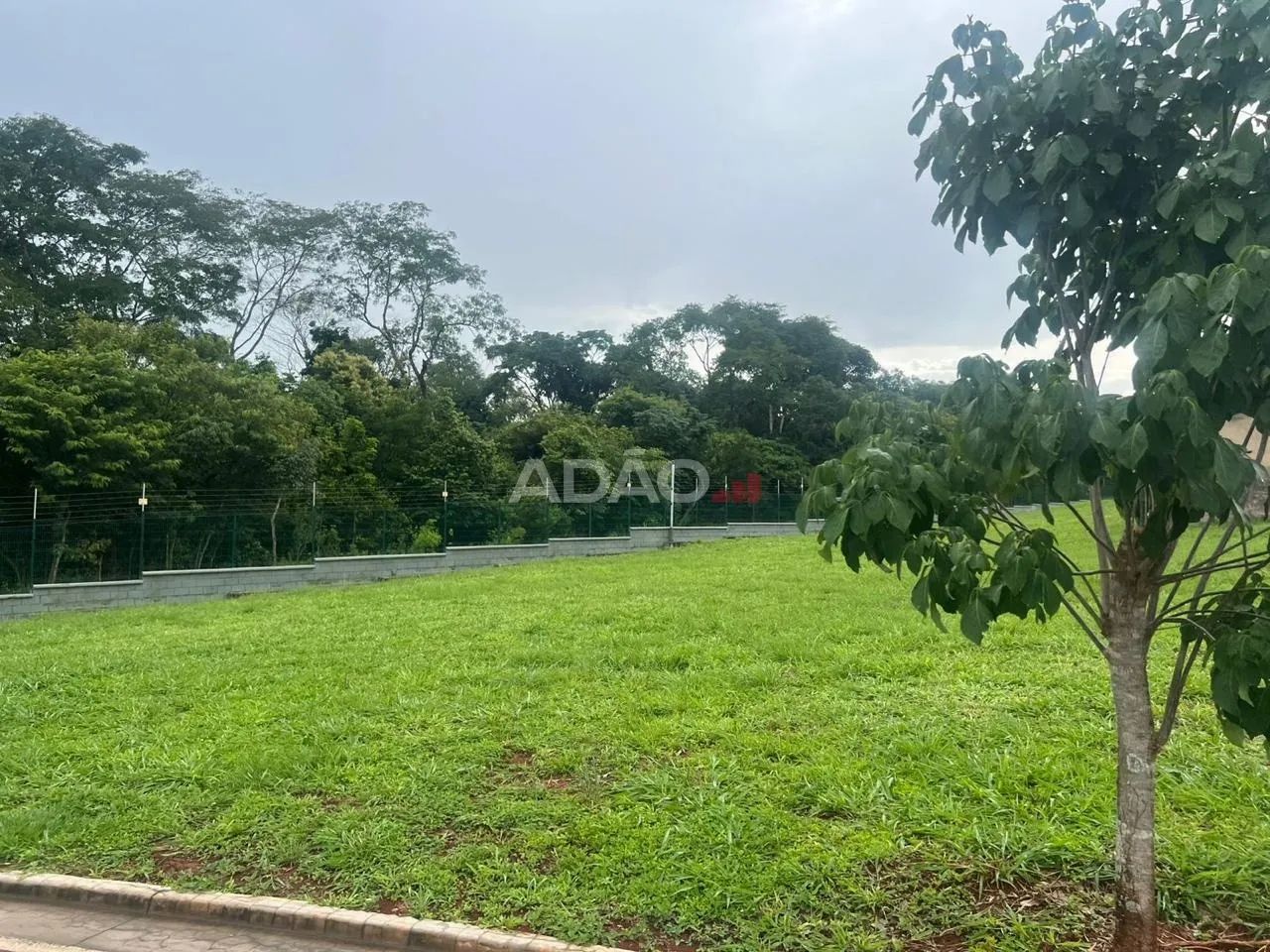 LOTE TERRAS ALPHAS 360 M2 - Foto 5