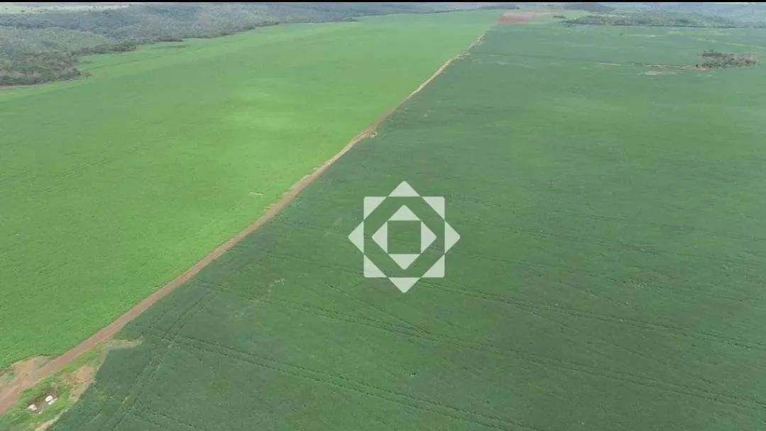 Fazenda de 254 alqueires com projeto para irrigação em Monte do Carmo - Foto 3