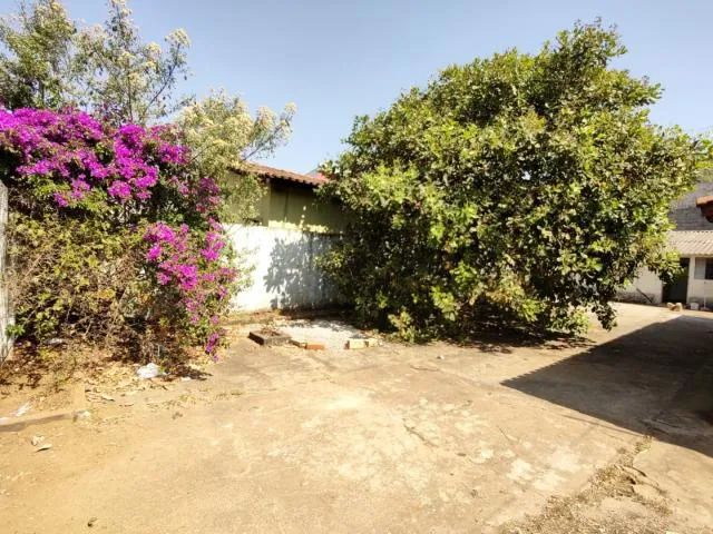 Lote - Bairro Goia - Foto 4