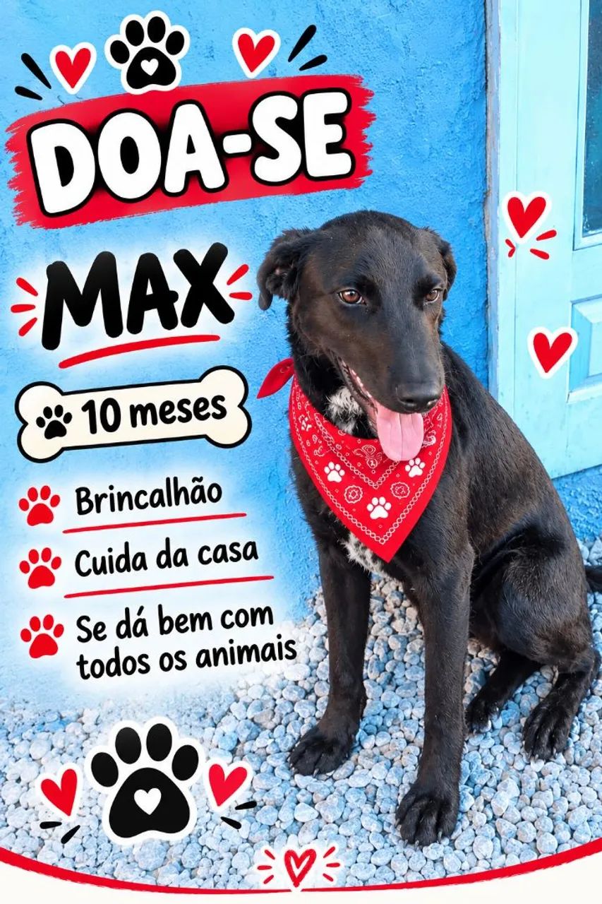 Doa se cachorro 