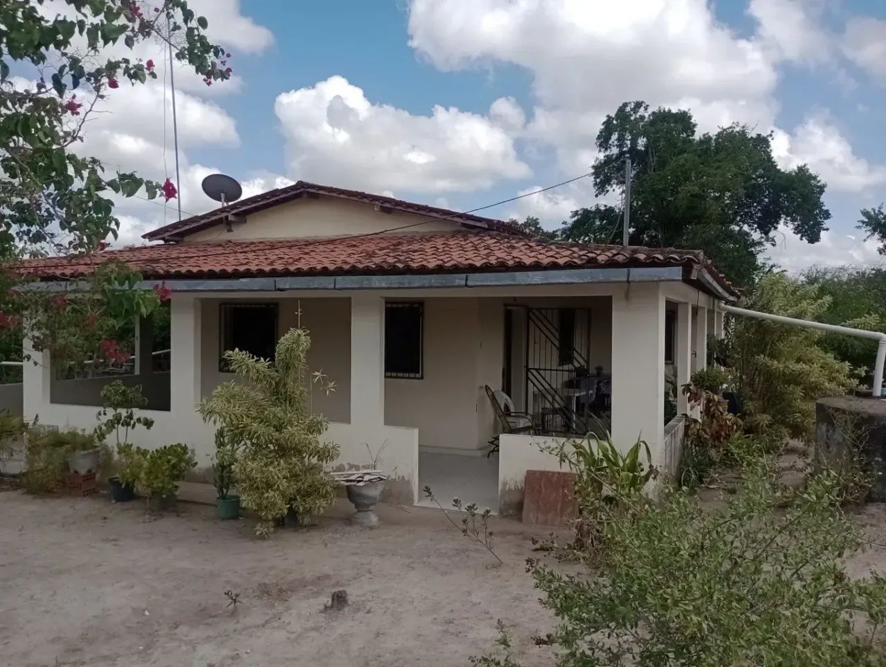 Lindo sítio em Passira - Foto 4