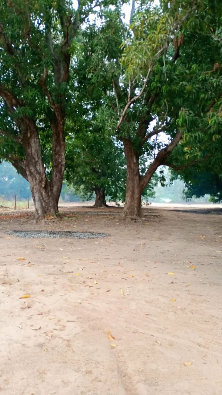 Chácara Rancho Cocalinho Araguaia - Foto 5