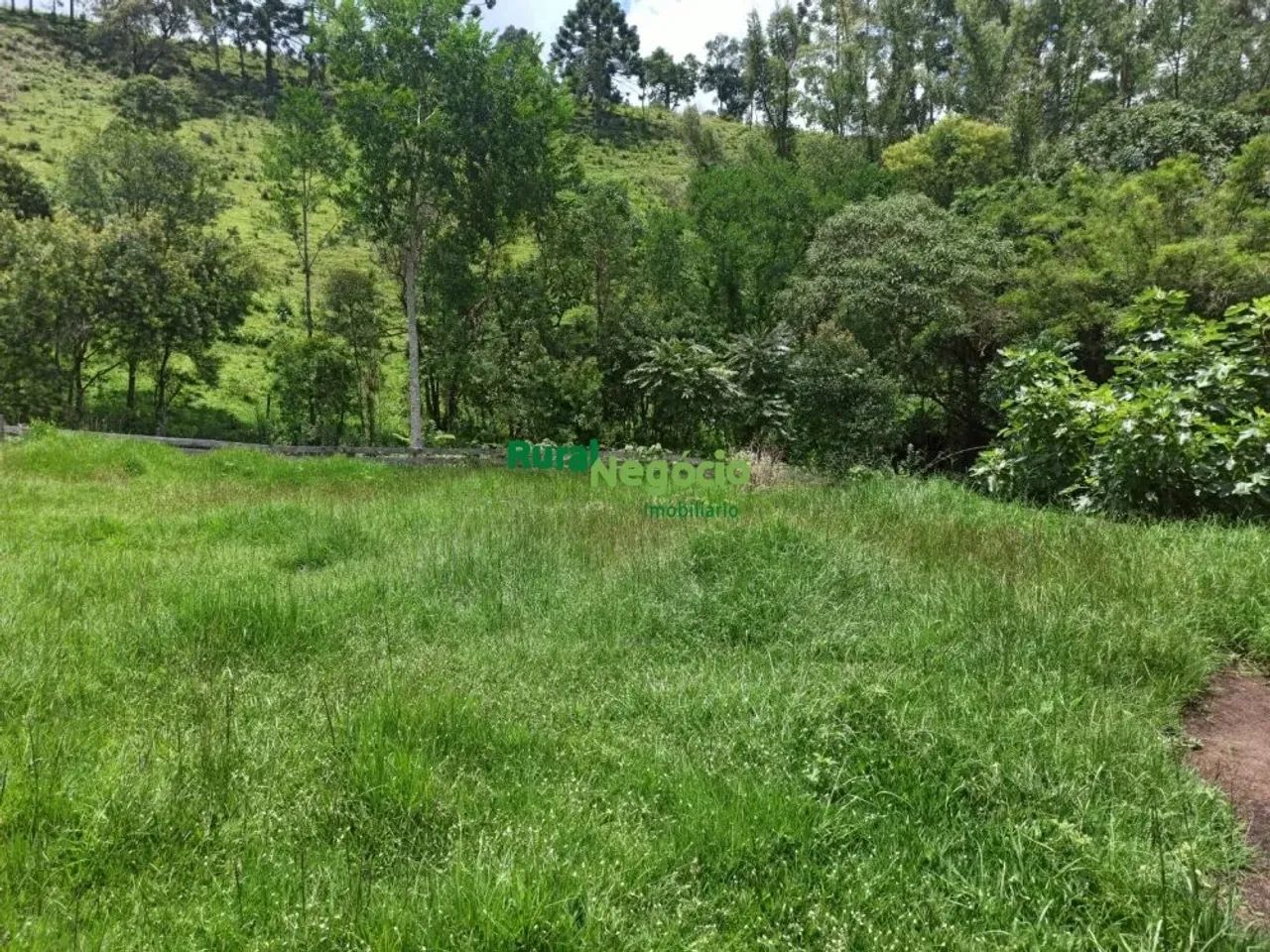 SÍTIO FORMADO PRÓXIMO AO PARQUE DA SERRA DO MAR EM CUNHA-SP - Foto 5