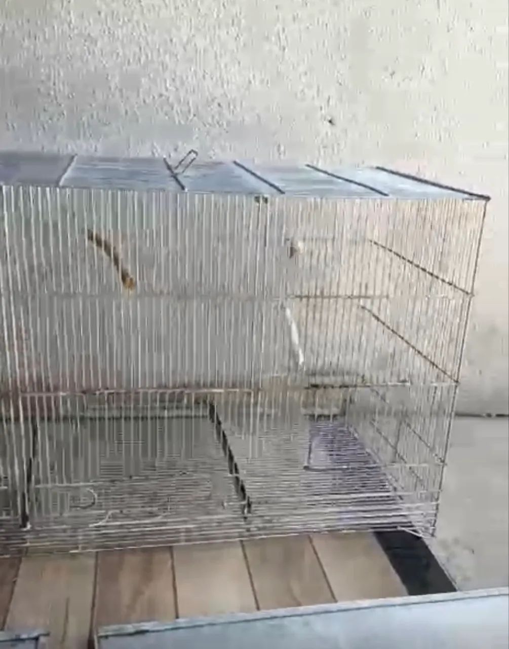 Promoção Semana do Consumidor  - Foto 2