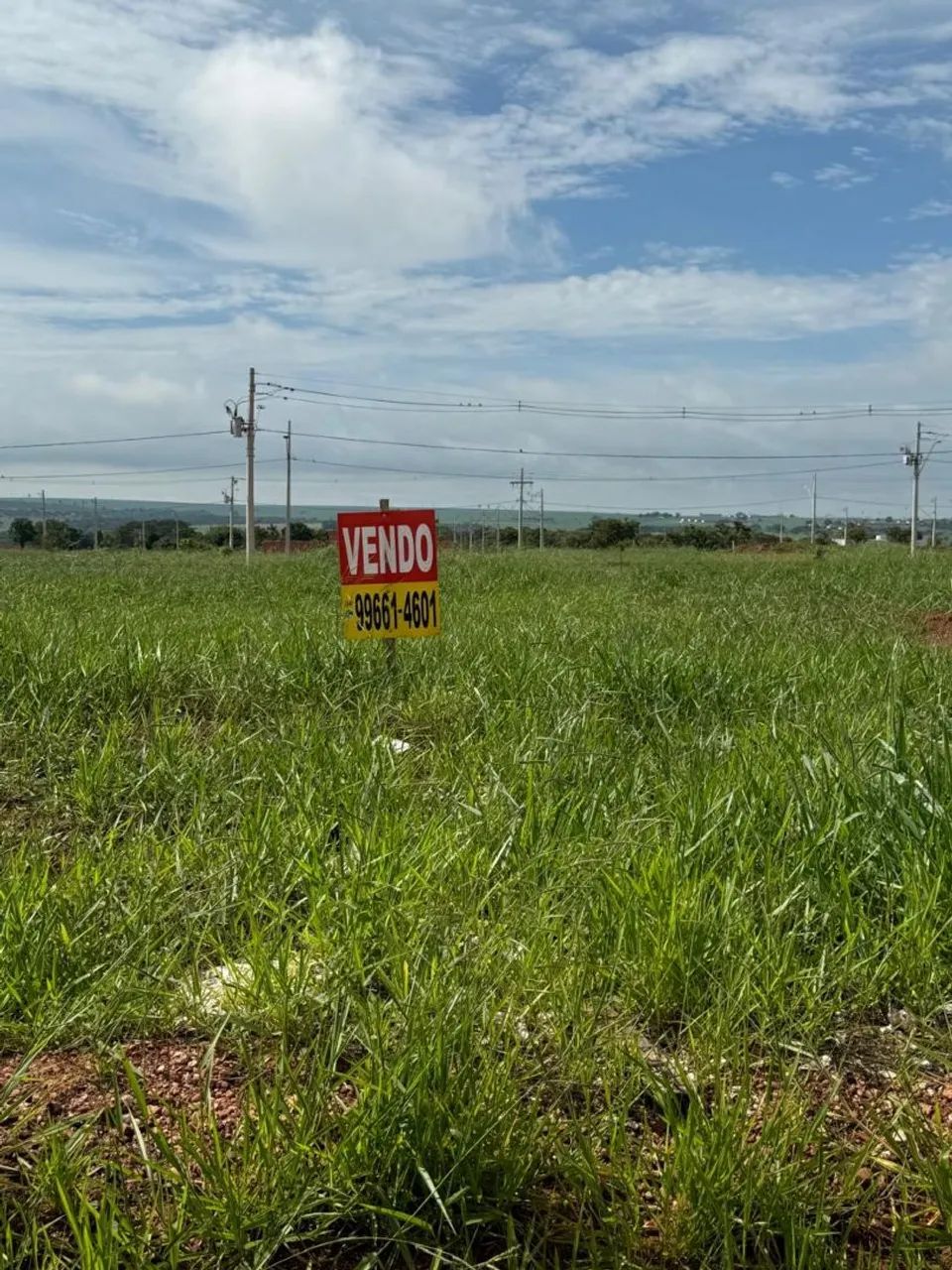 Foto - Uberlândia - Jardim Sul