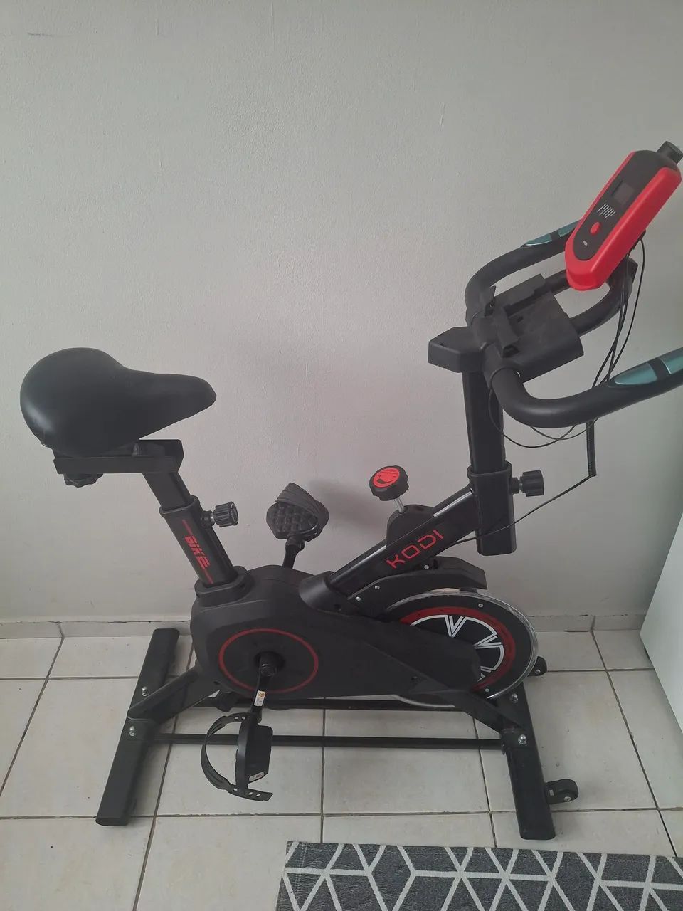Bicicleta ergométrica