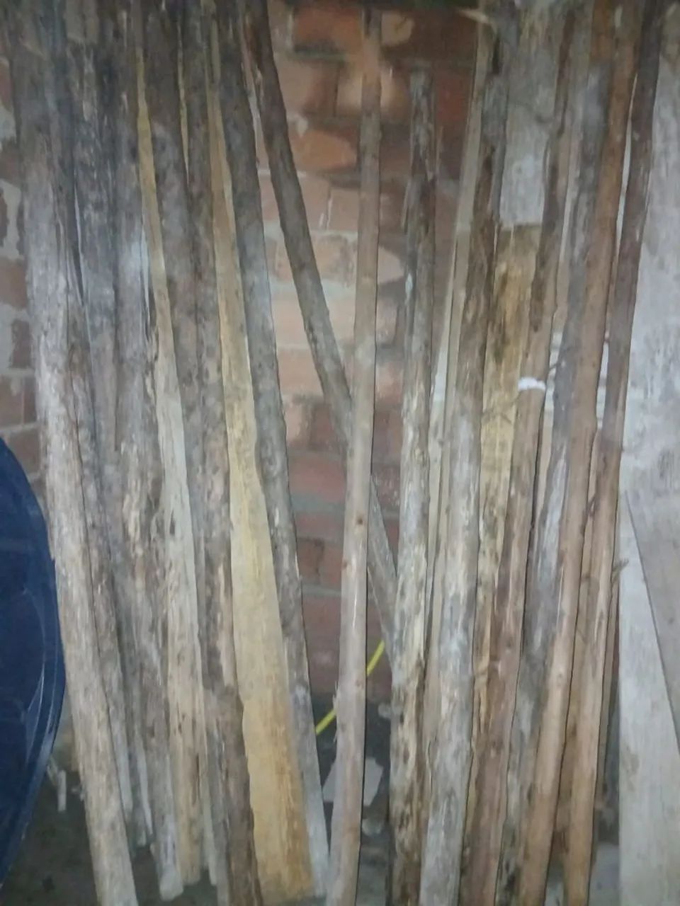Escoras de eucalipto  - Foto 3