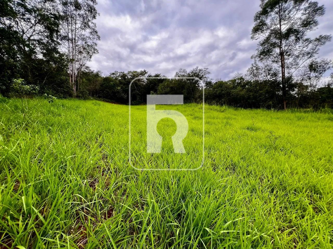 Chácara à venda, Centro - Queluzito/MG - Foto 4