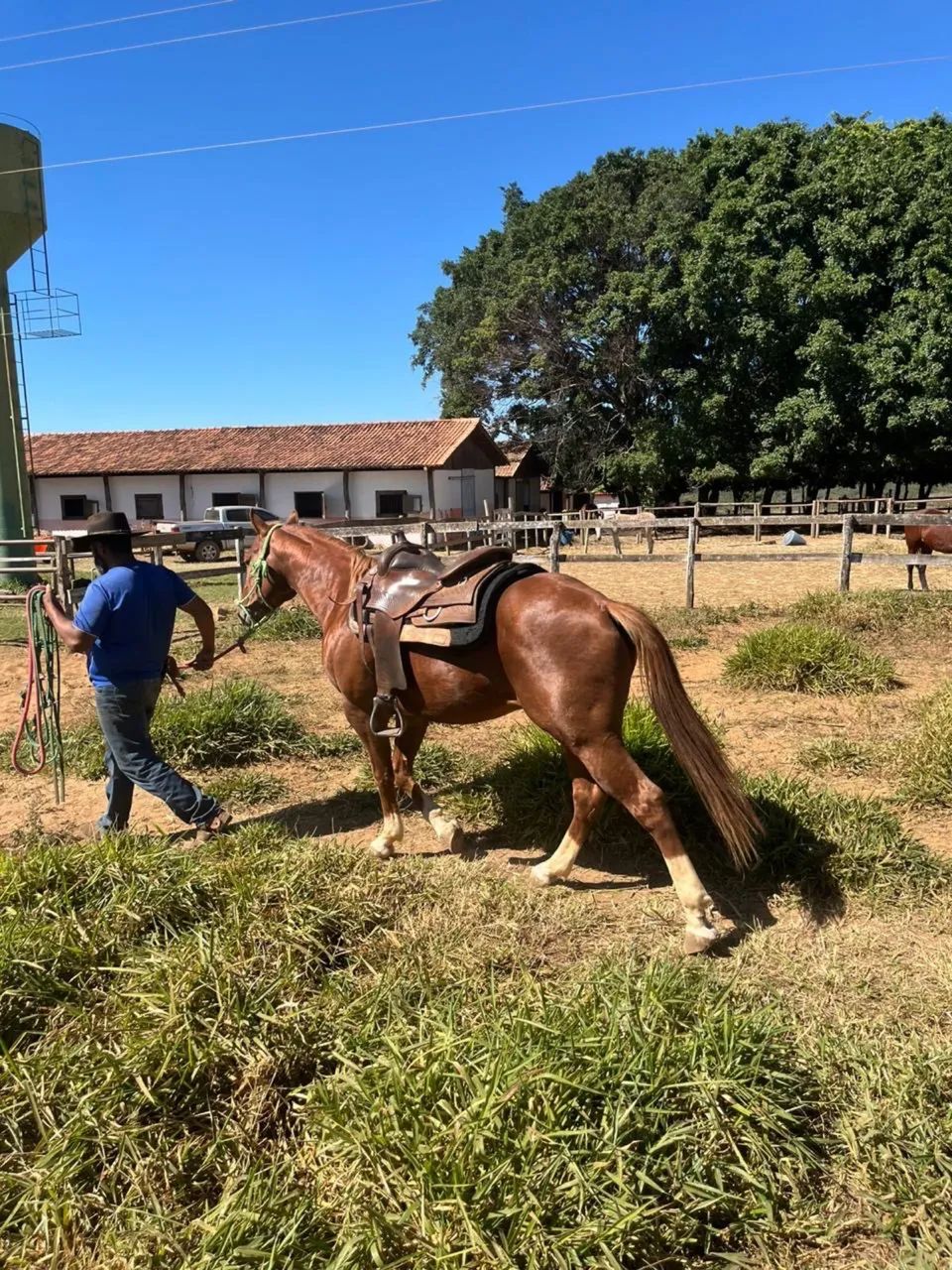 Agropecuária  - Foto 2