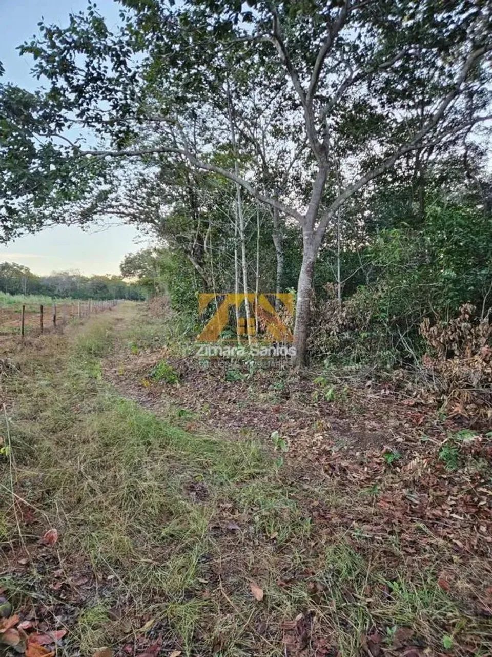 Chácara 2,5 Alqueires - Zona Rural - Próxima a Palmas - Porto Nacional/TO - Foto 8