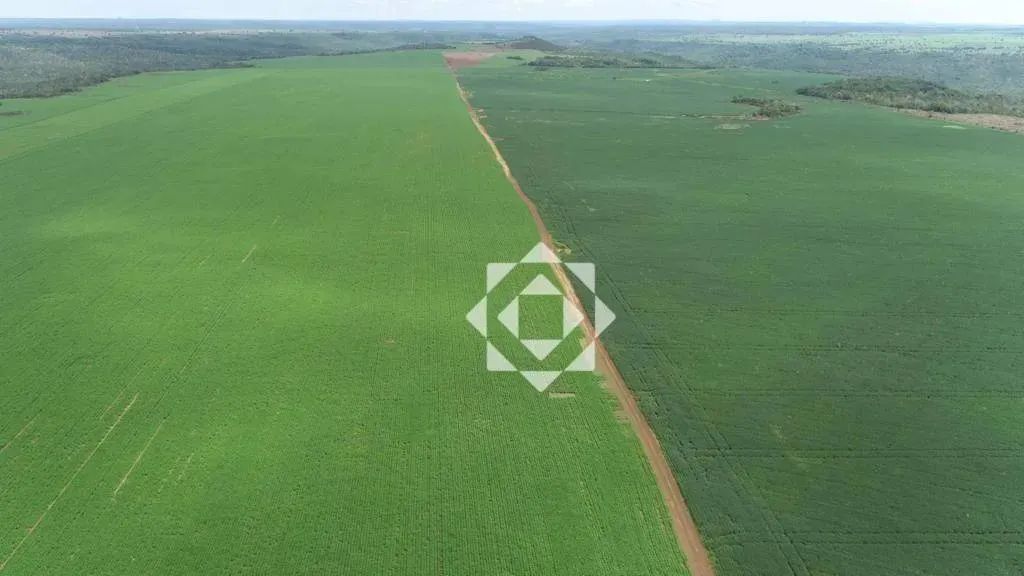 Fazenda de 254 alqueires com projeto para irrigação em Monte do Carmo