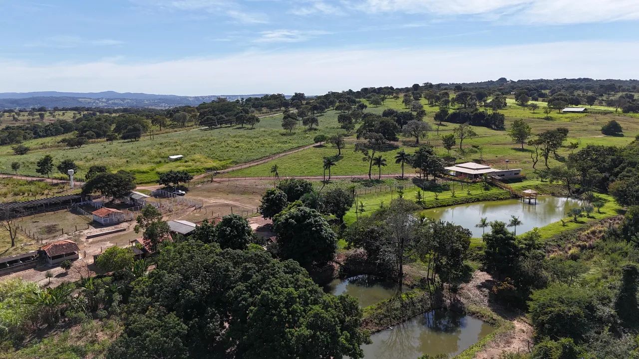 Fazendinha em Mairipotaba-go - Foto 5