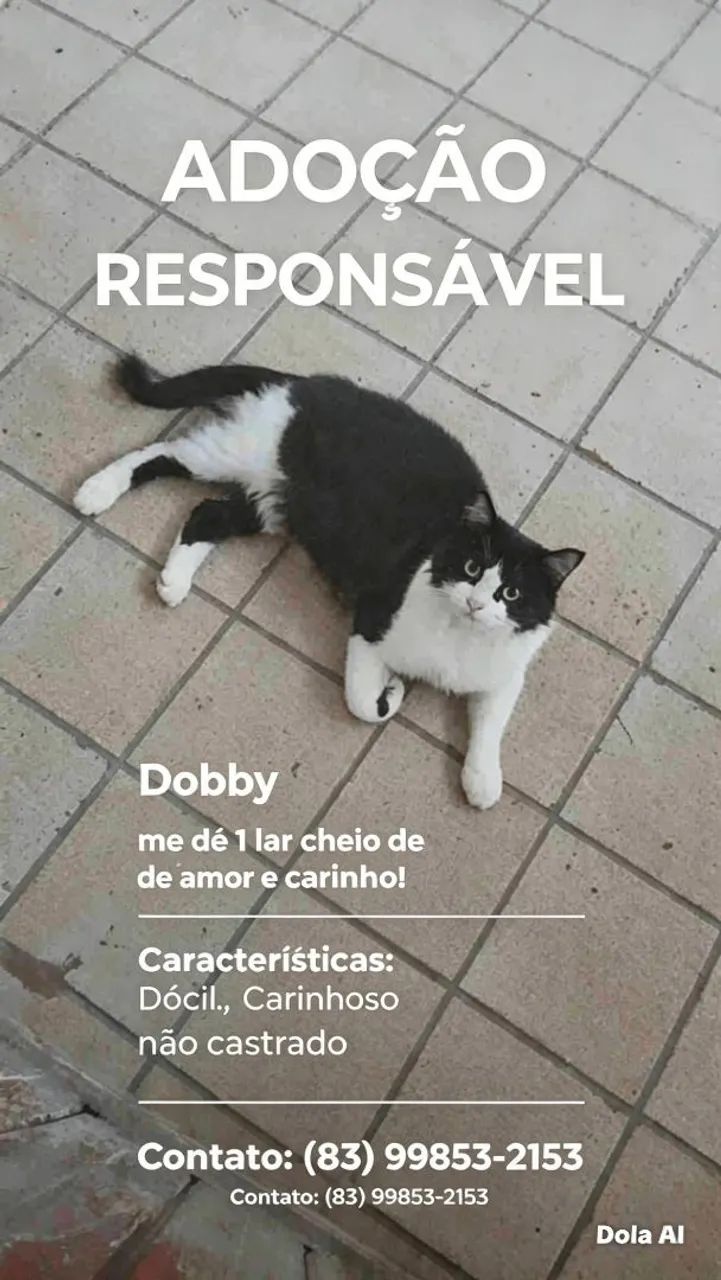 Adoação responsável 