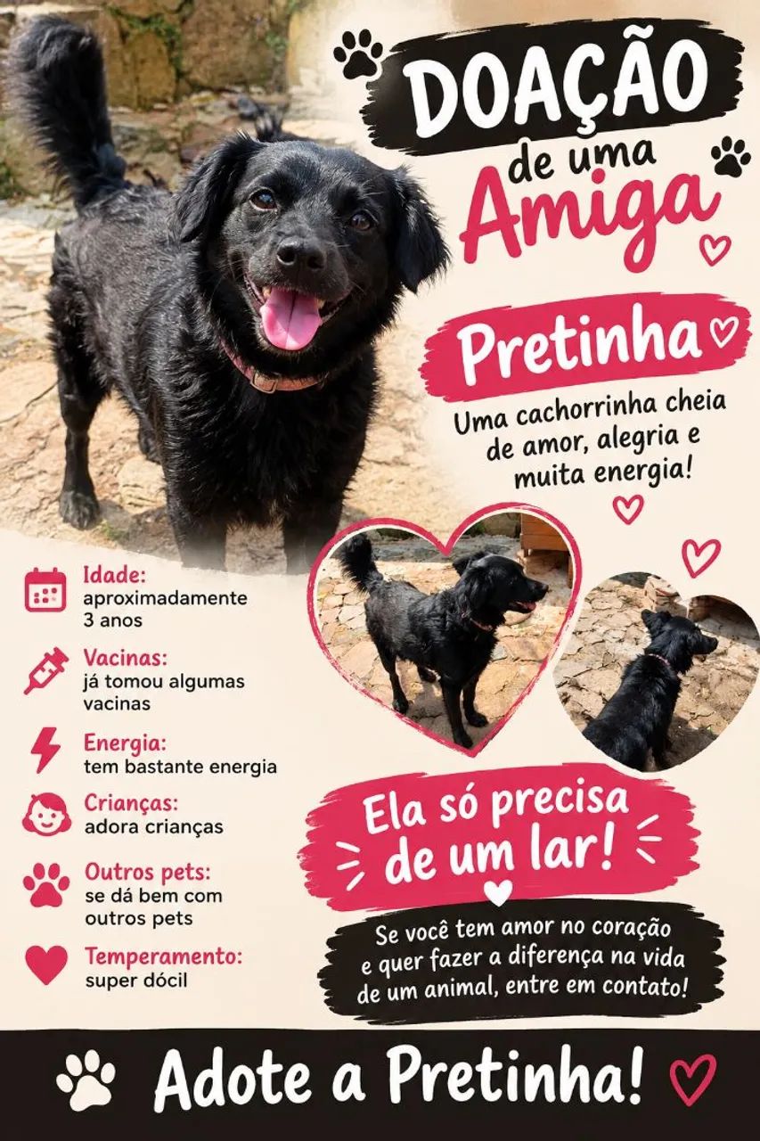 Doação  - Foto 2