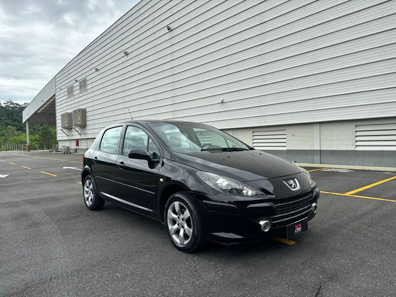 Peugeot 307 2010