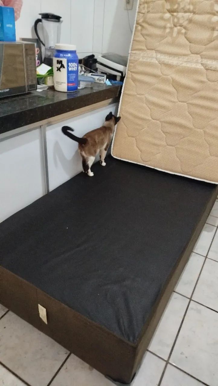 Cama BOX + COLCHÃO ZERADOS R$240,00 - Foto 4