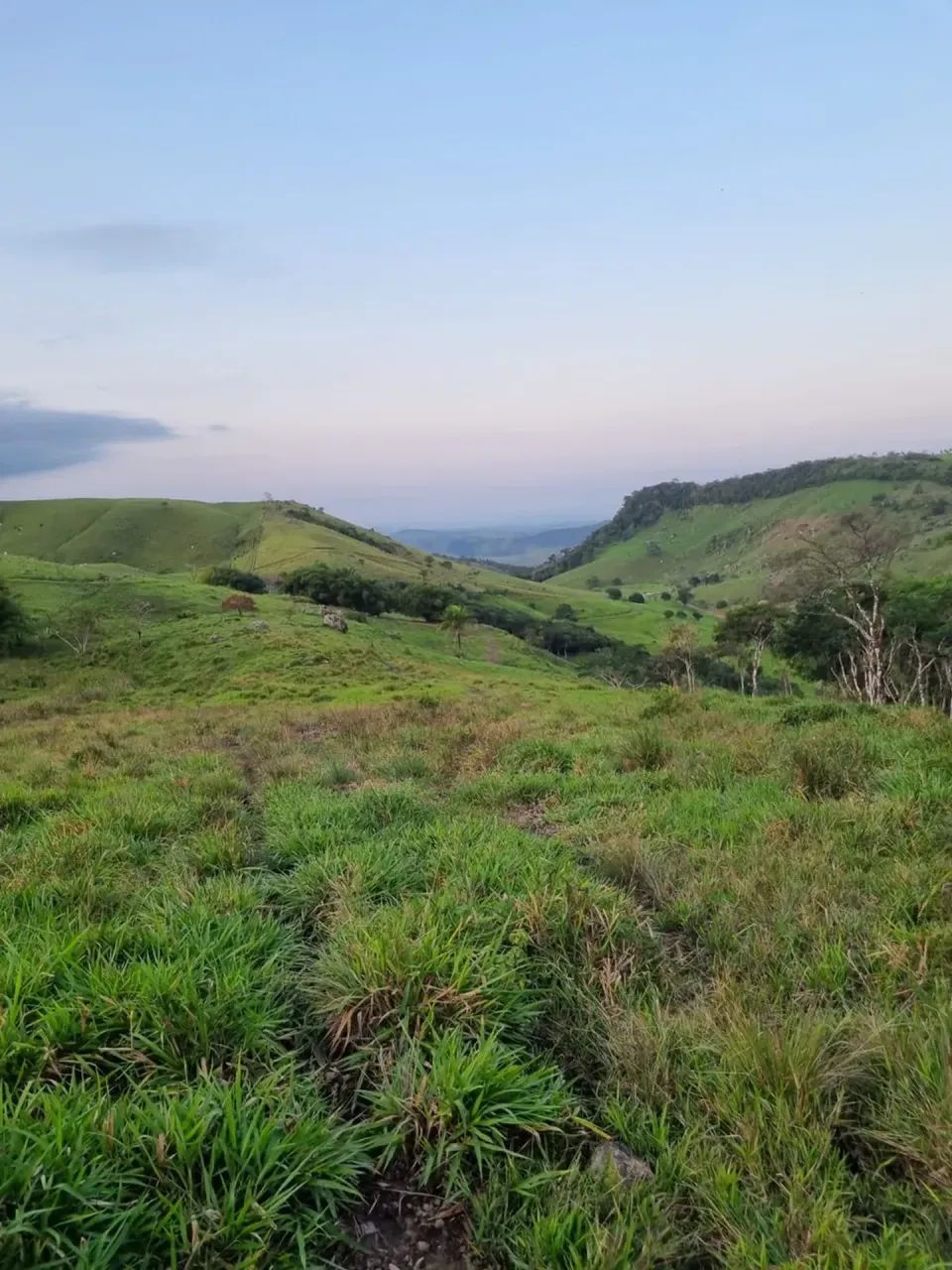 Fazenda À Venda em Atalaia - Foto 2