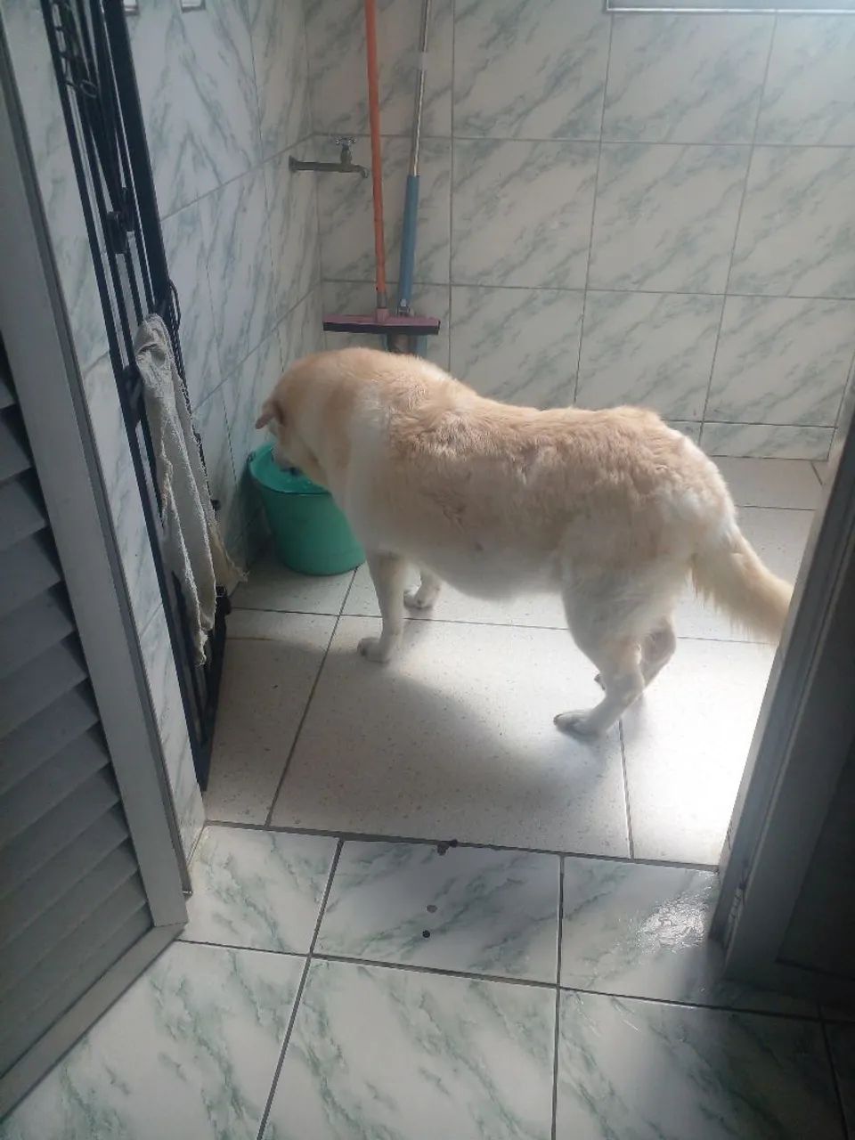 Doação  - Foto 2