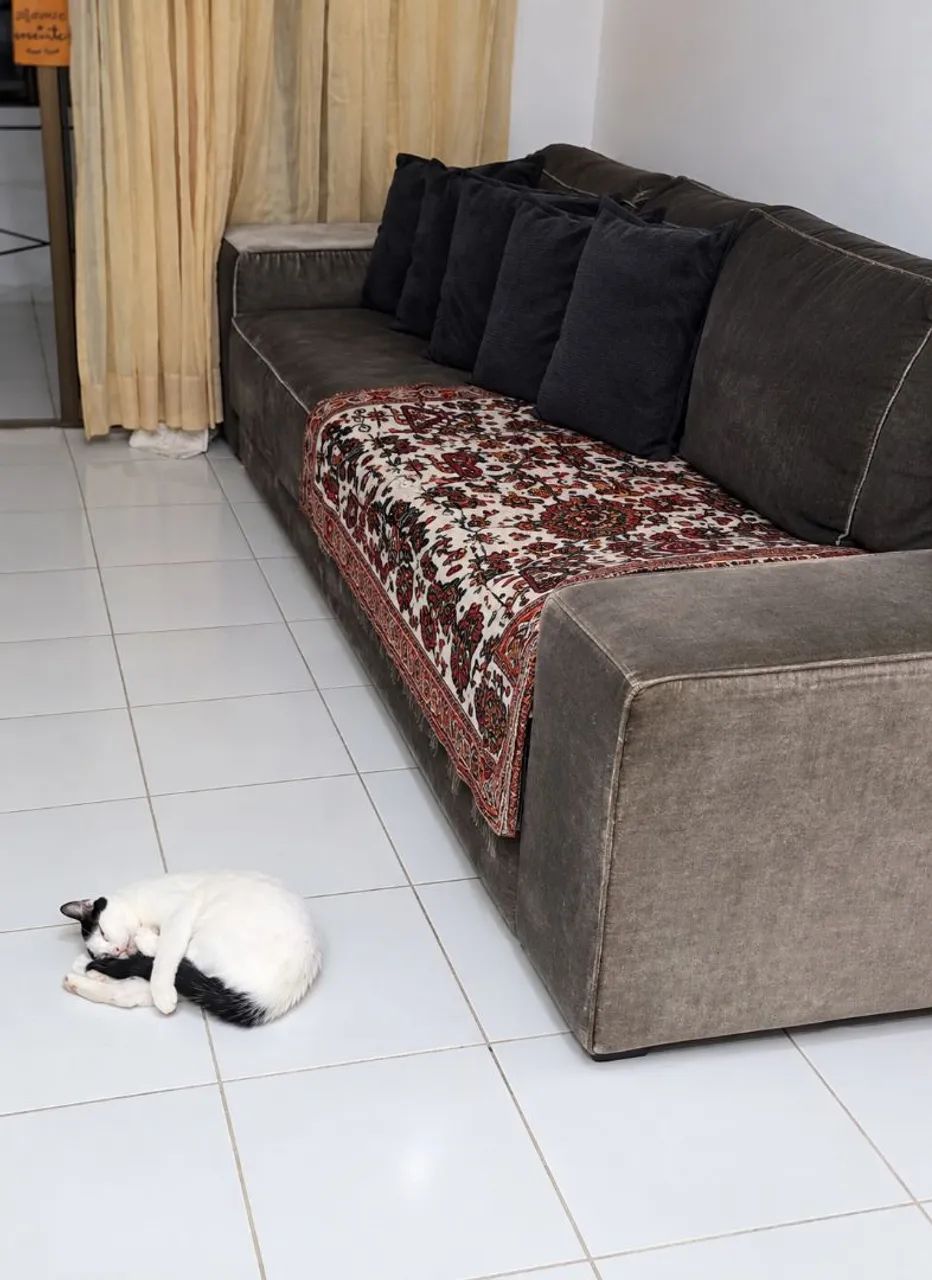 Vendo sofá luxuoso ,em tecido texturado de veludo 
