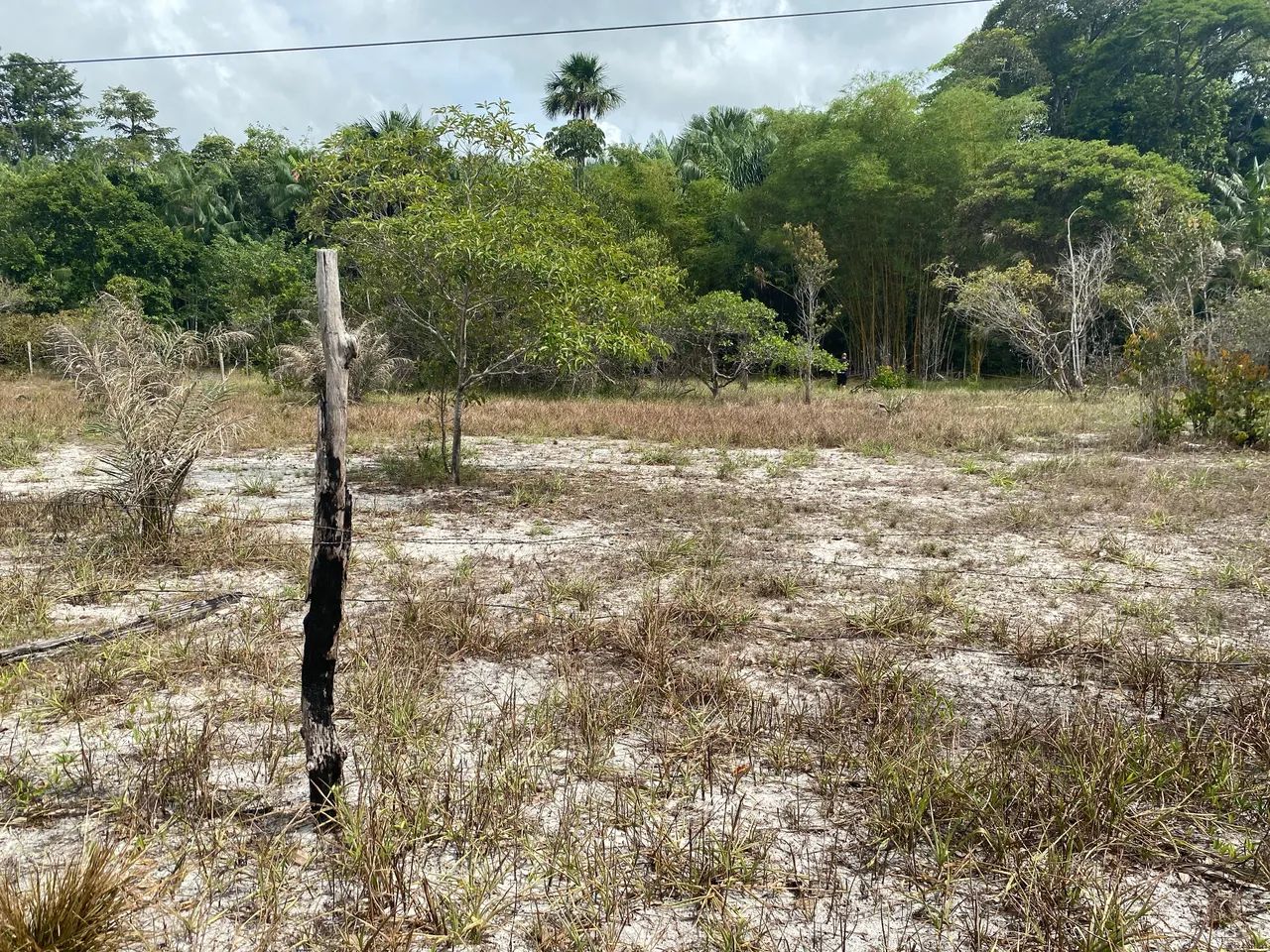 Terreno ou sítio  - Foto 4