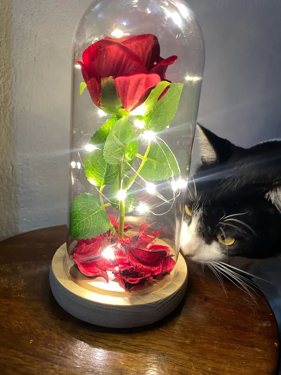 Rosa Artificial em Redoma com Luzes LED Bela e a Fera  - Foto 3