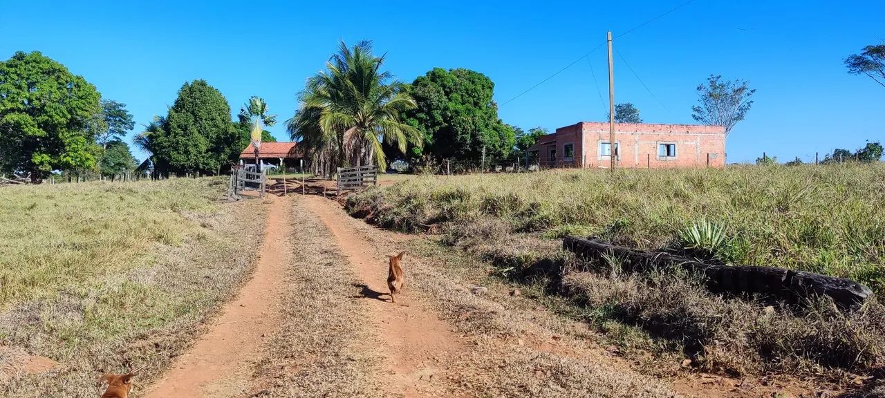chácara Cacoal linha 10  - Foto 3
