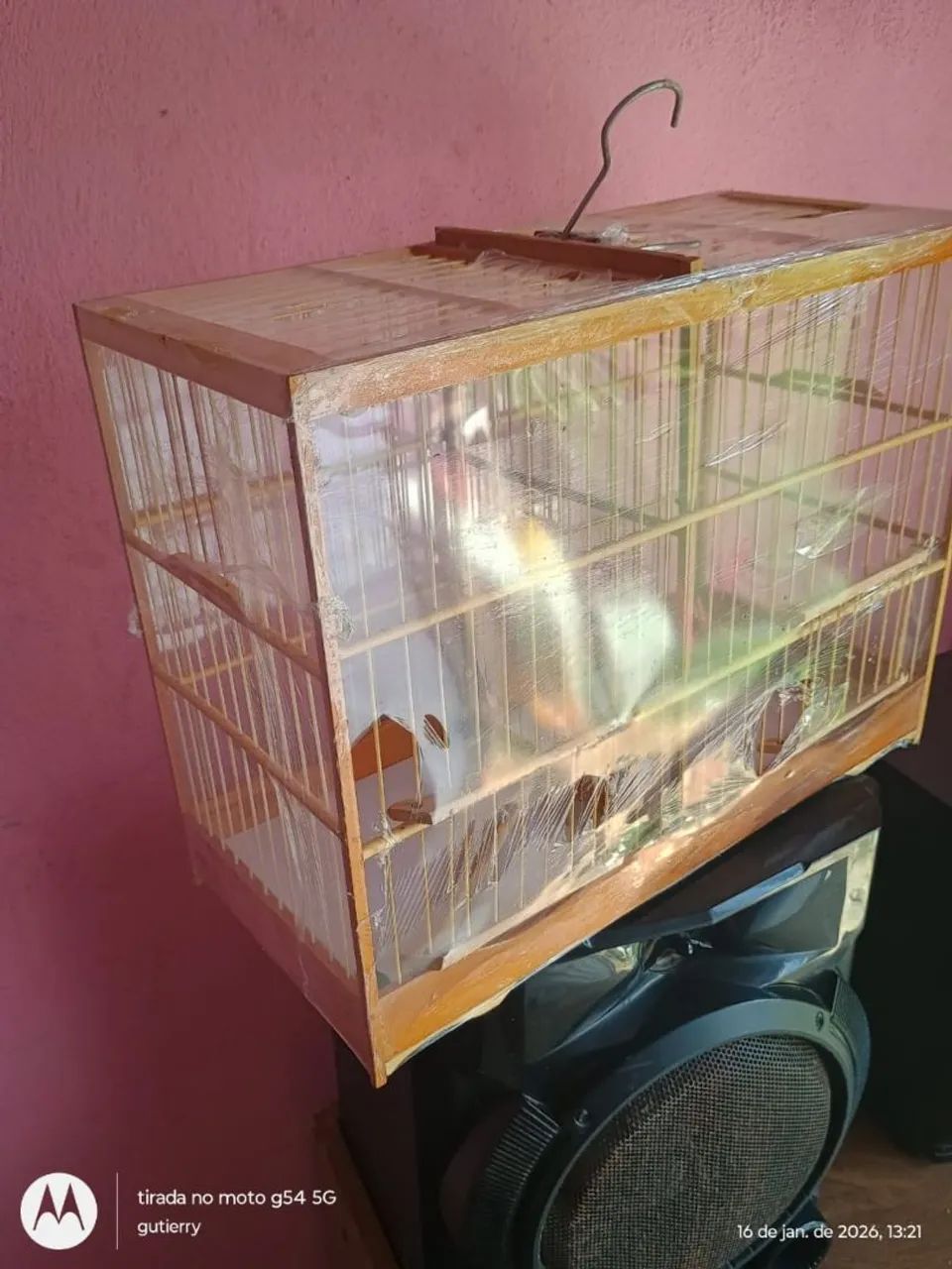 Gaiola Voador com divisória lacrado - Foto 2