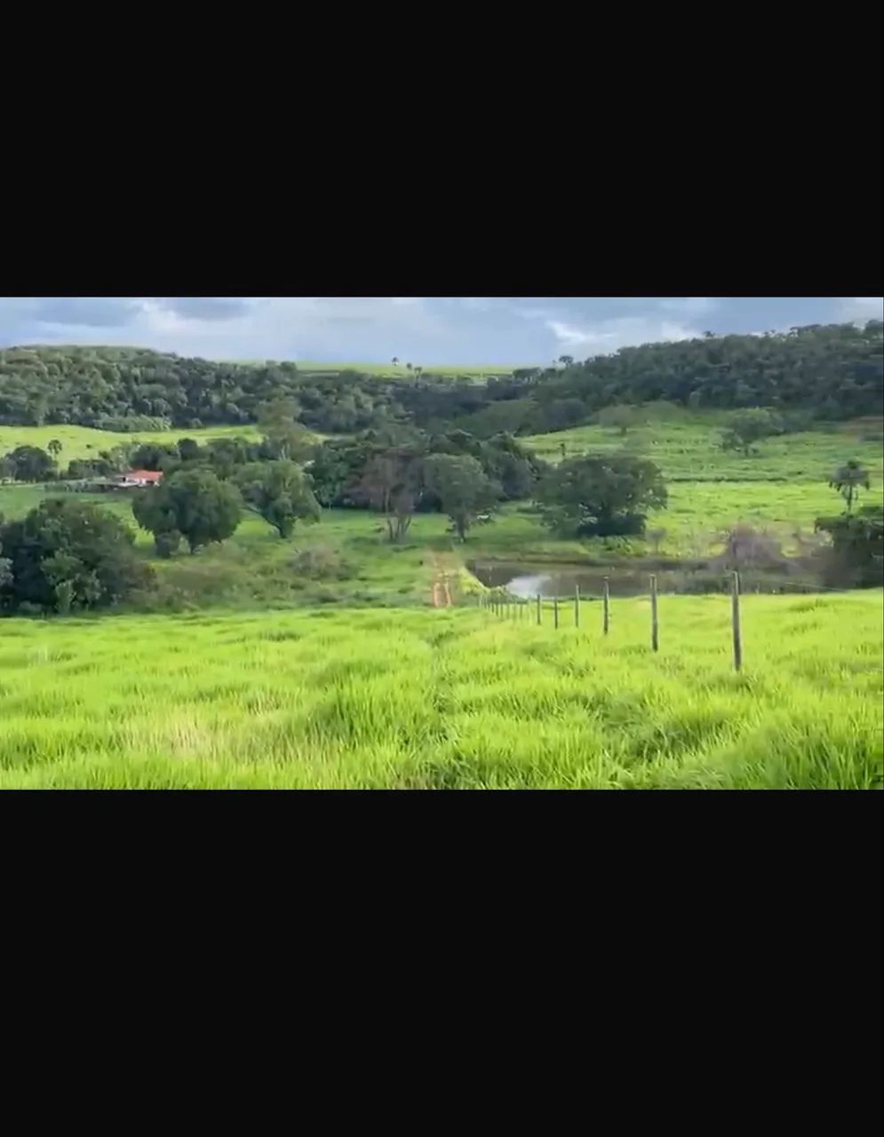 Fazenda dupla aptidão Gomendador gomes  - Foto 5