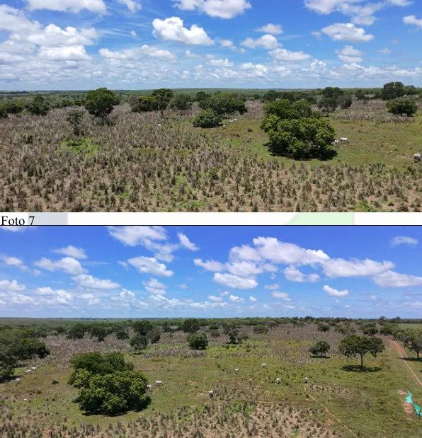 Imóvel rural no Zona Rural em Araguçu