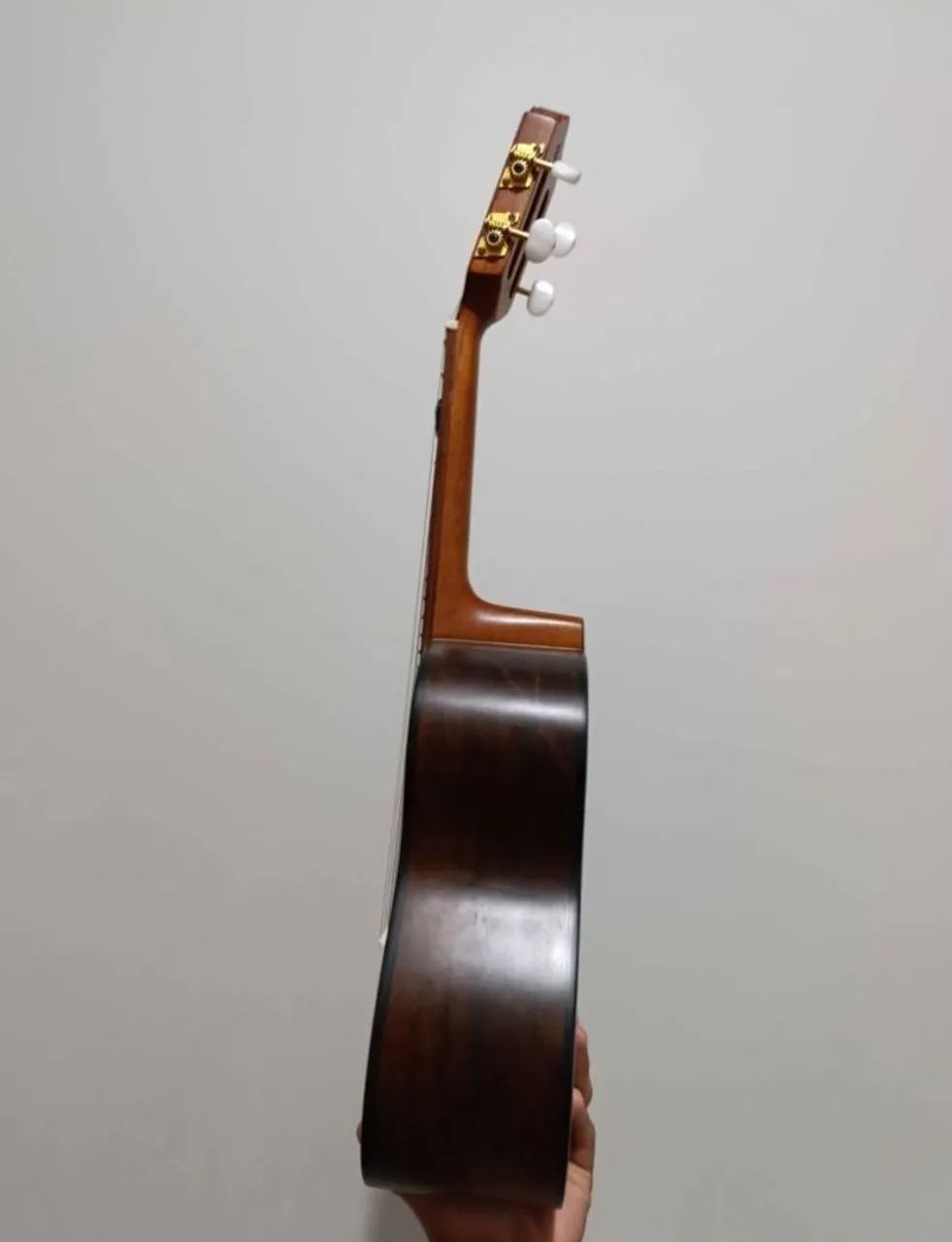 CAVAQUINHO GIANINNI RAIZ  - Foto 5