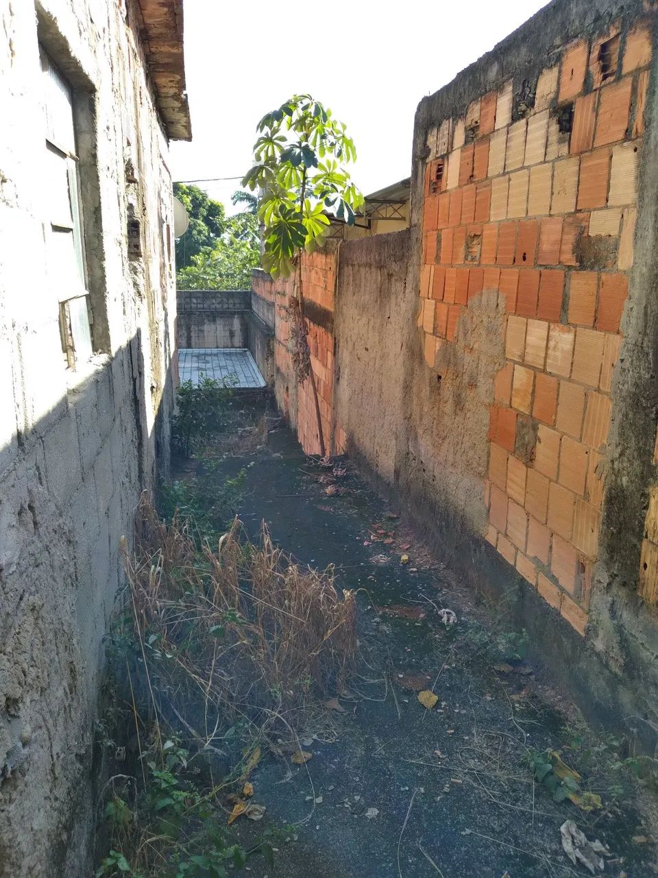 TERRENO NO VALVERDE EM NOVA IGUAÇU  - Foto 3