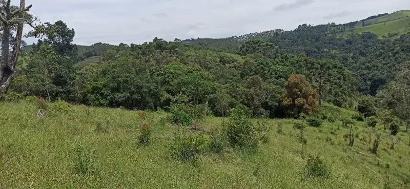 SÍTIO NA ESTRADA DO PARAIBUNA EM CUNHA-SP