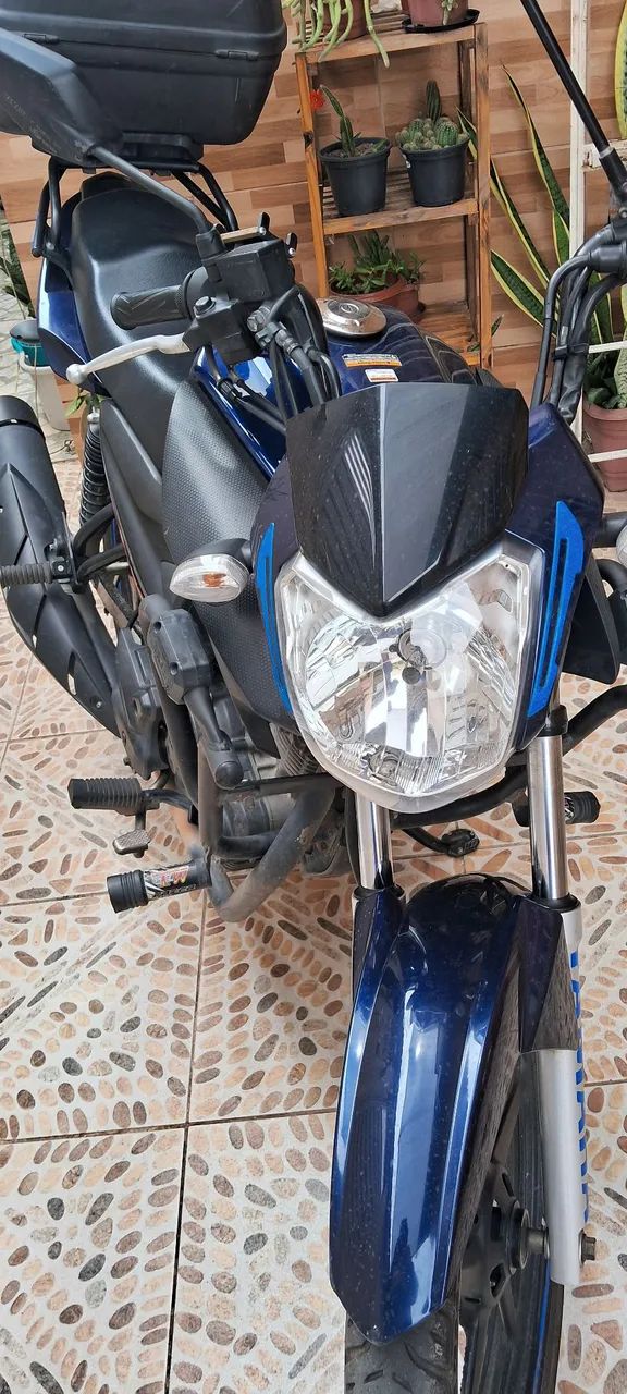 Factor 150 2024 